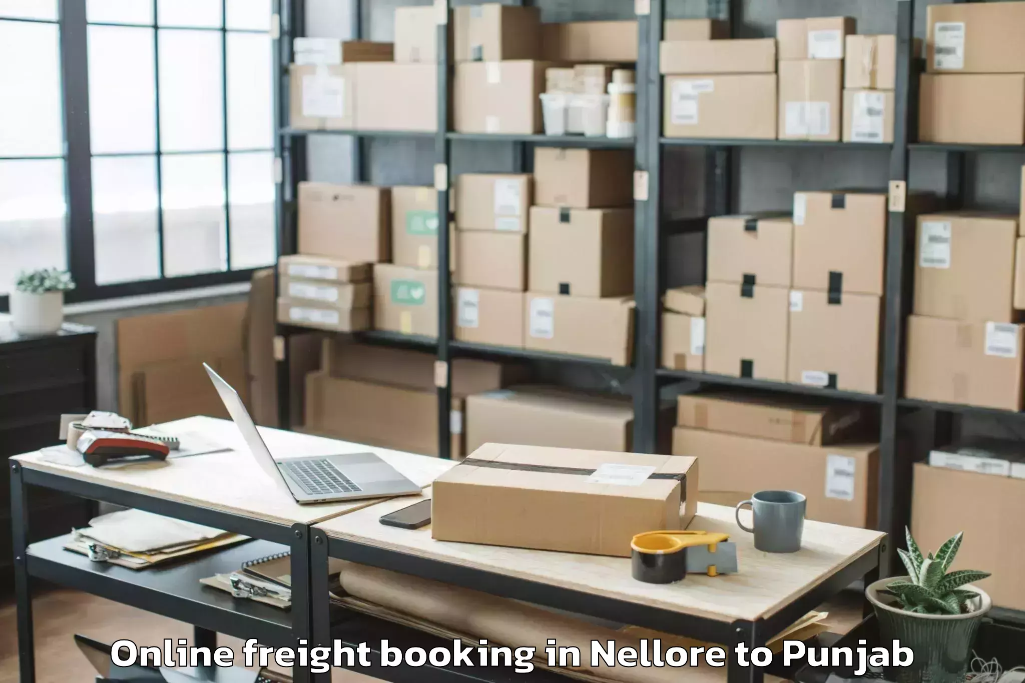 Book Nellore to Faridkot Online Freight Booking Online